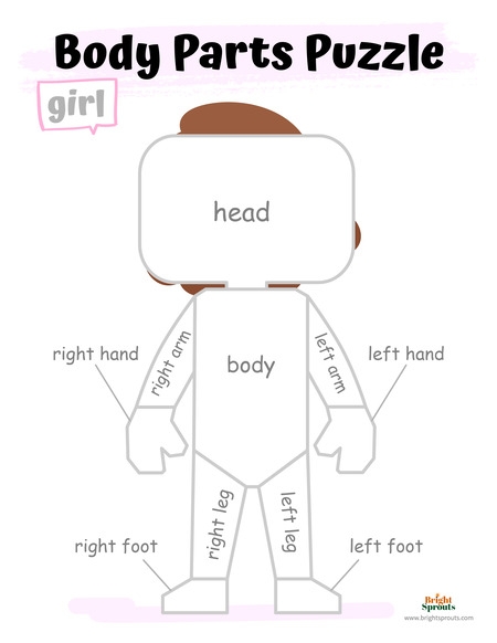 15 Body Parts Activities For Preschoolers Free Printables 