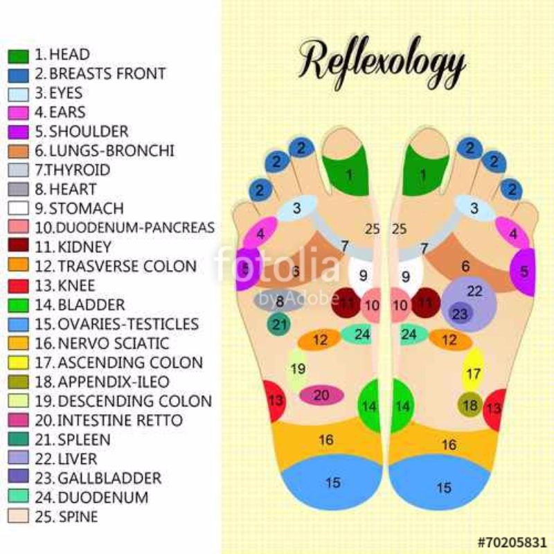 31 Printable Foot Reflexology Charts Maps Template Lab