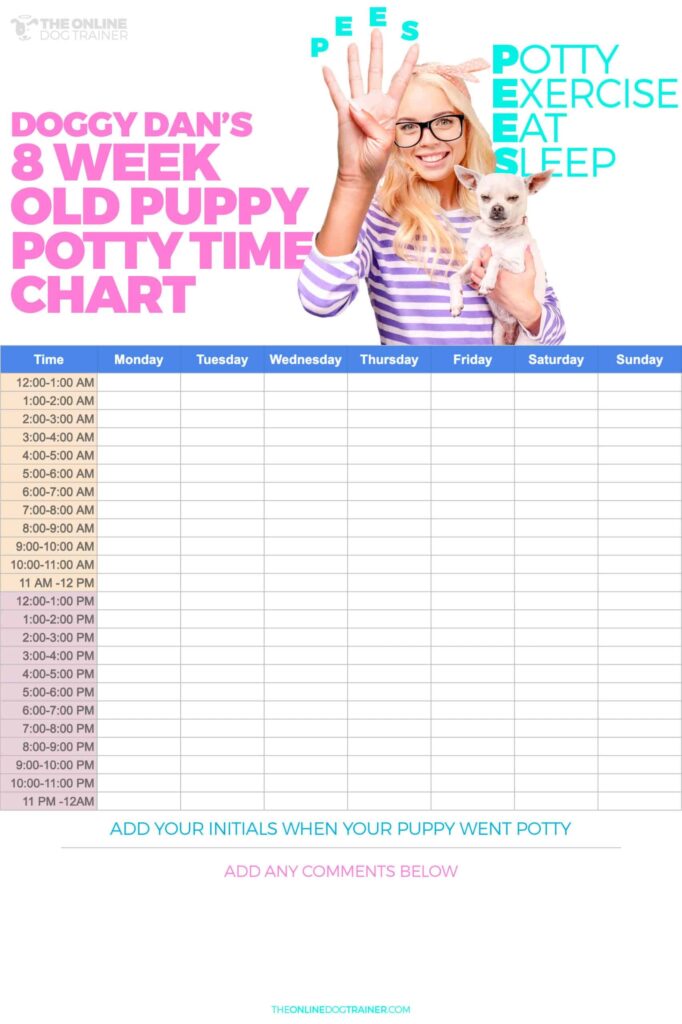 8 Week Old Puppy Schedule The Ultimate Guide To Training Your New 