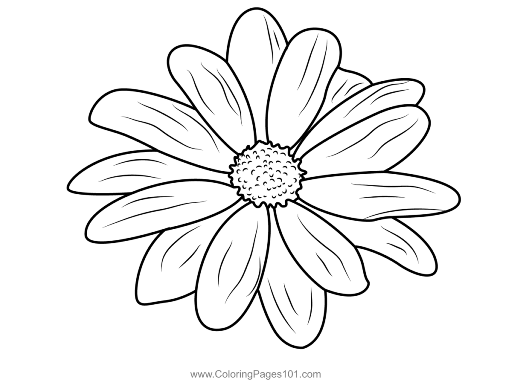 Coloring Pages And Daisy