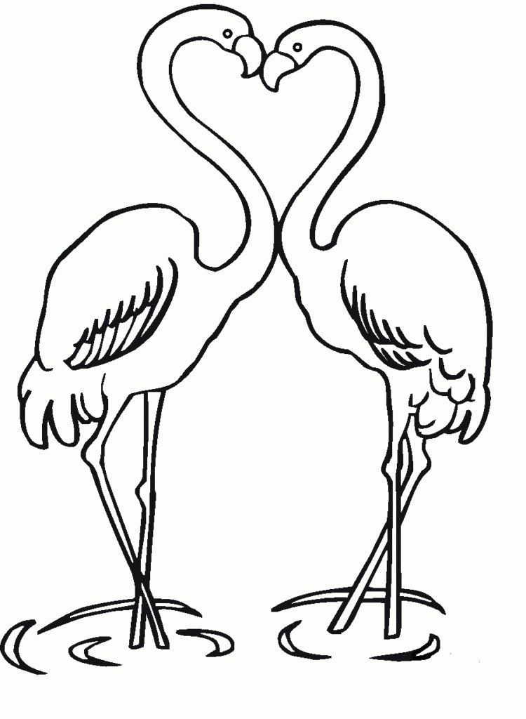 Flamingo Printable Coloring Pages
