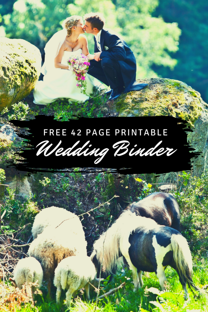 Free 42 Page Printable Wedding Binder