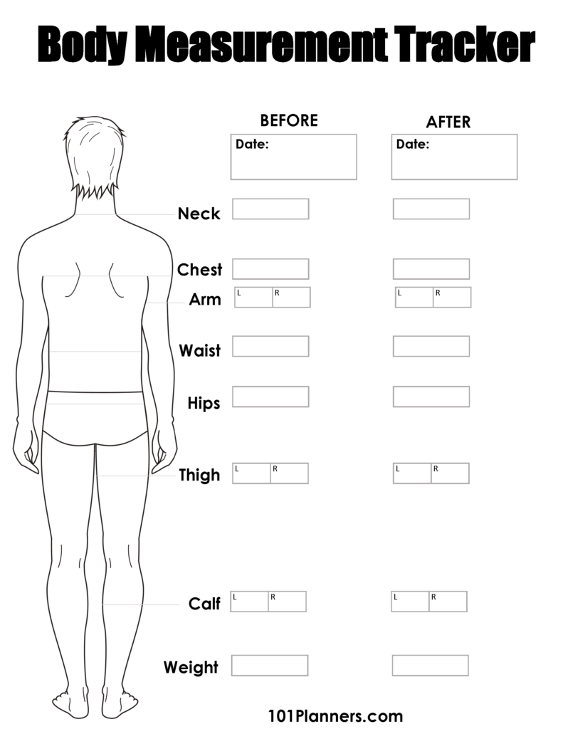 FREE Body Measurement Chart Printable Or Online