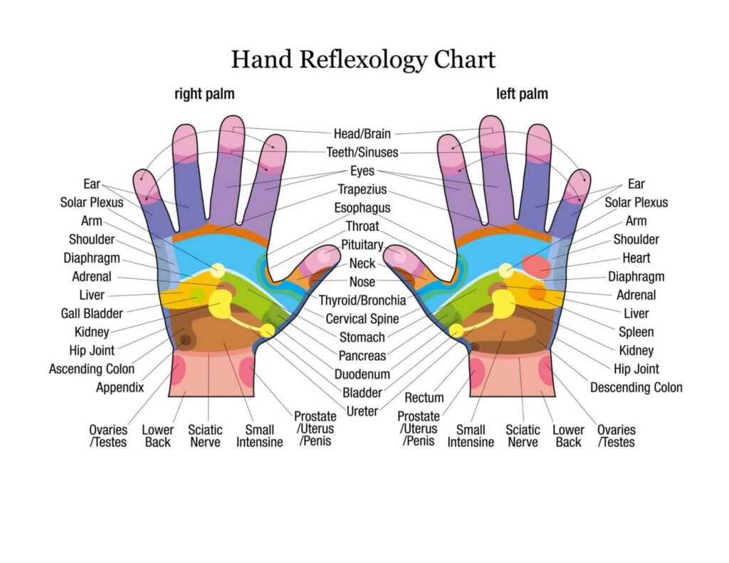 Free Printable Hand Reflexology Templates Charts Maps PDF