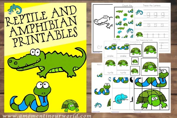 FREE Printable Reptiles And Amphibians Pack