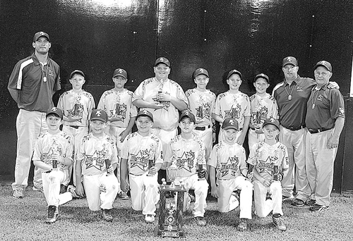 Patrick County Dixie Youth All Stars Take Runner up Spot In State 