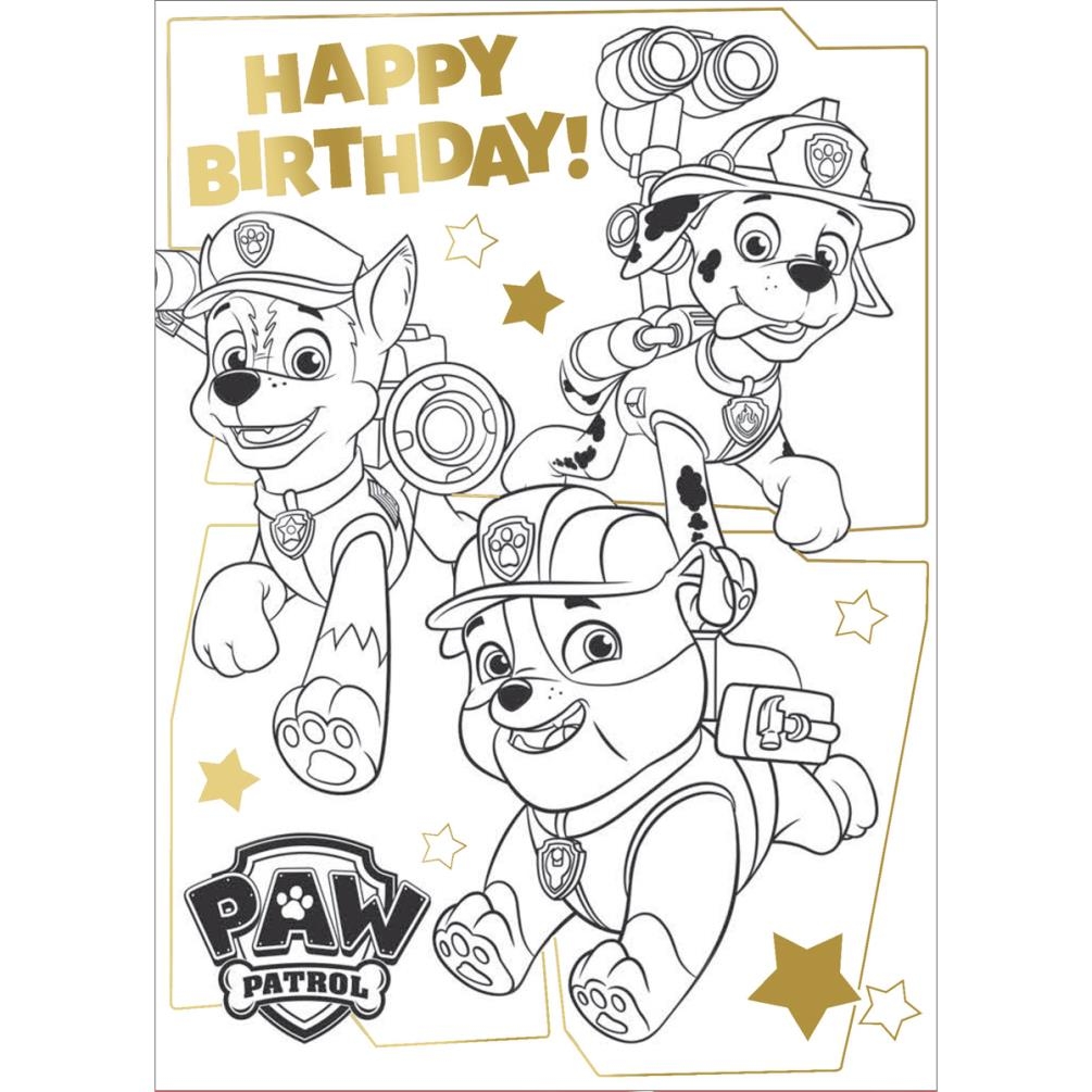 Paw Patrol Printable Birthday Card Printable Word Searches