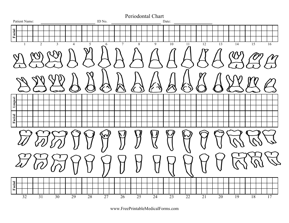 Periodontal Chart Template Download Printable PDF Templateroller