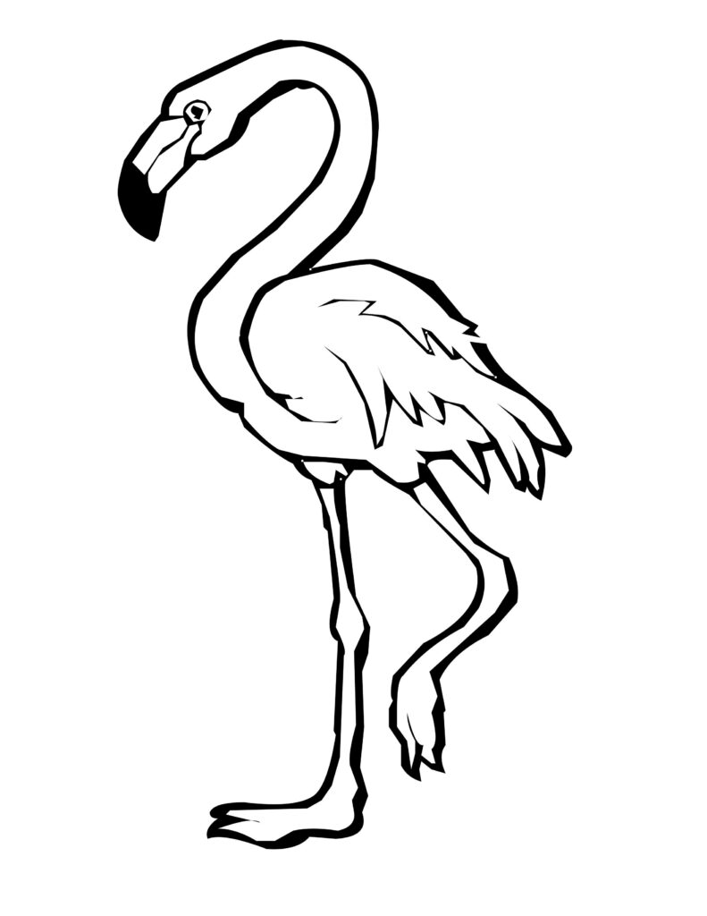 Printable Flamingo Coloring Pages