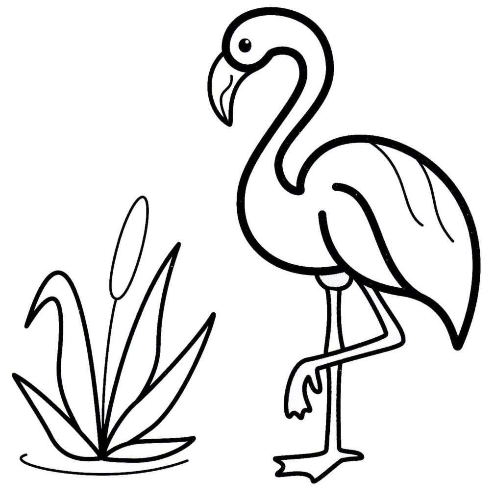 Printable Flamingo Coloring Pages Printable Word Searches