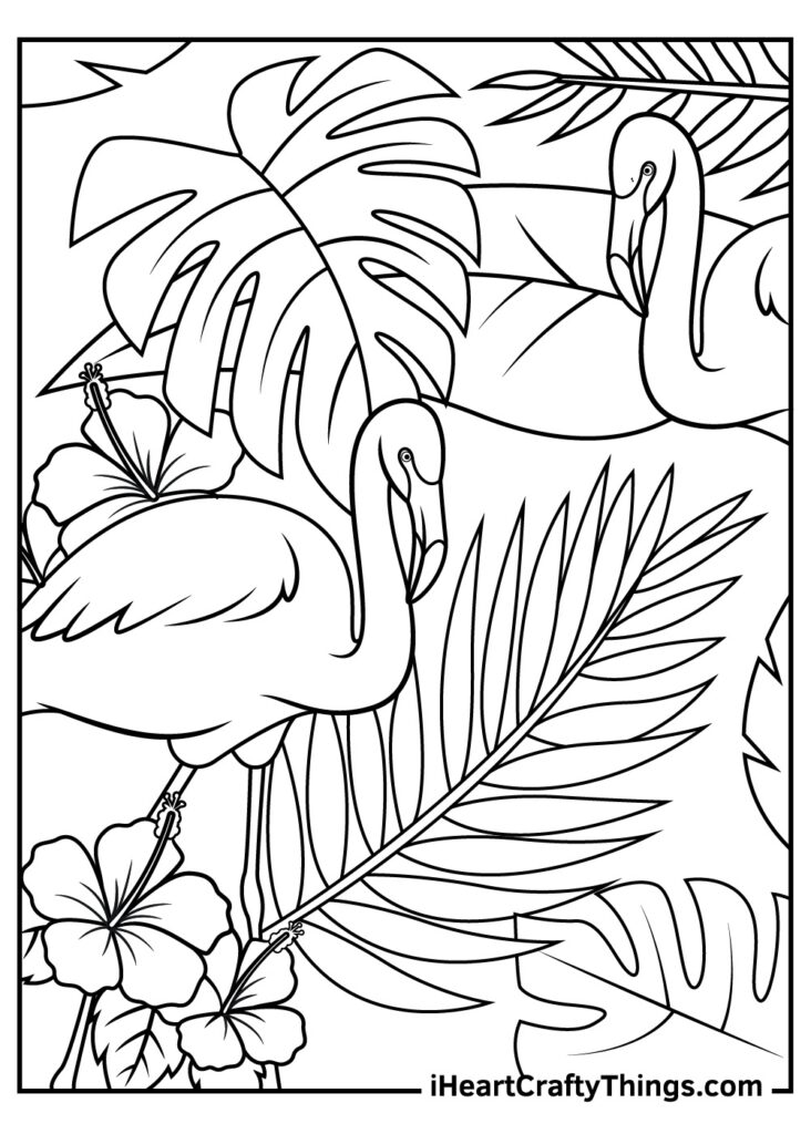 Printable Flamingos Coloring Pages Updated 2021 