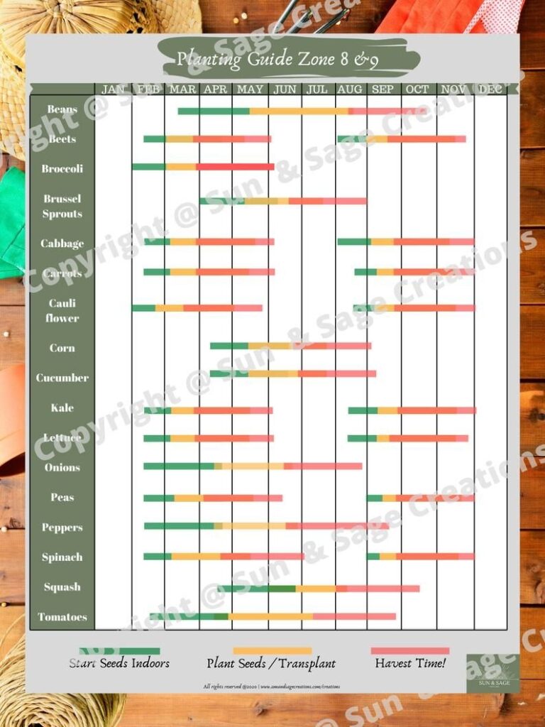 Printable Zone 9b Planting Schedule