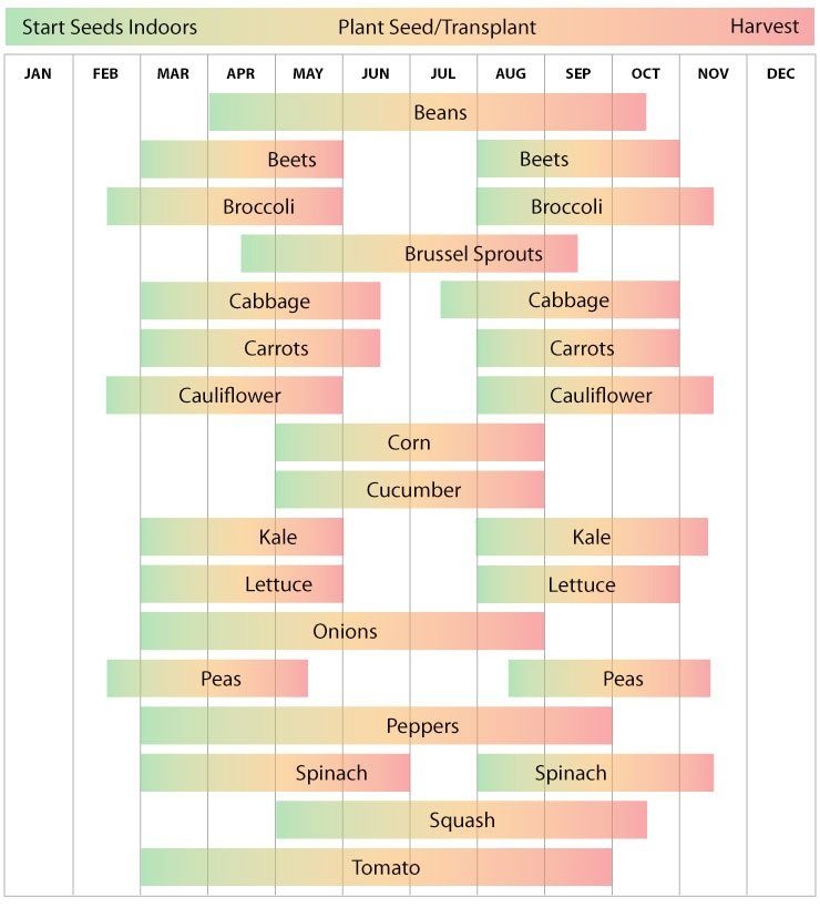 Zone 9 Planting Calendar