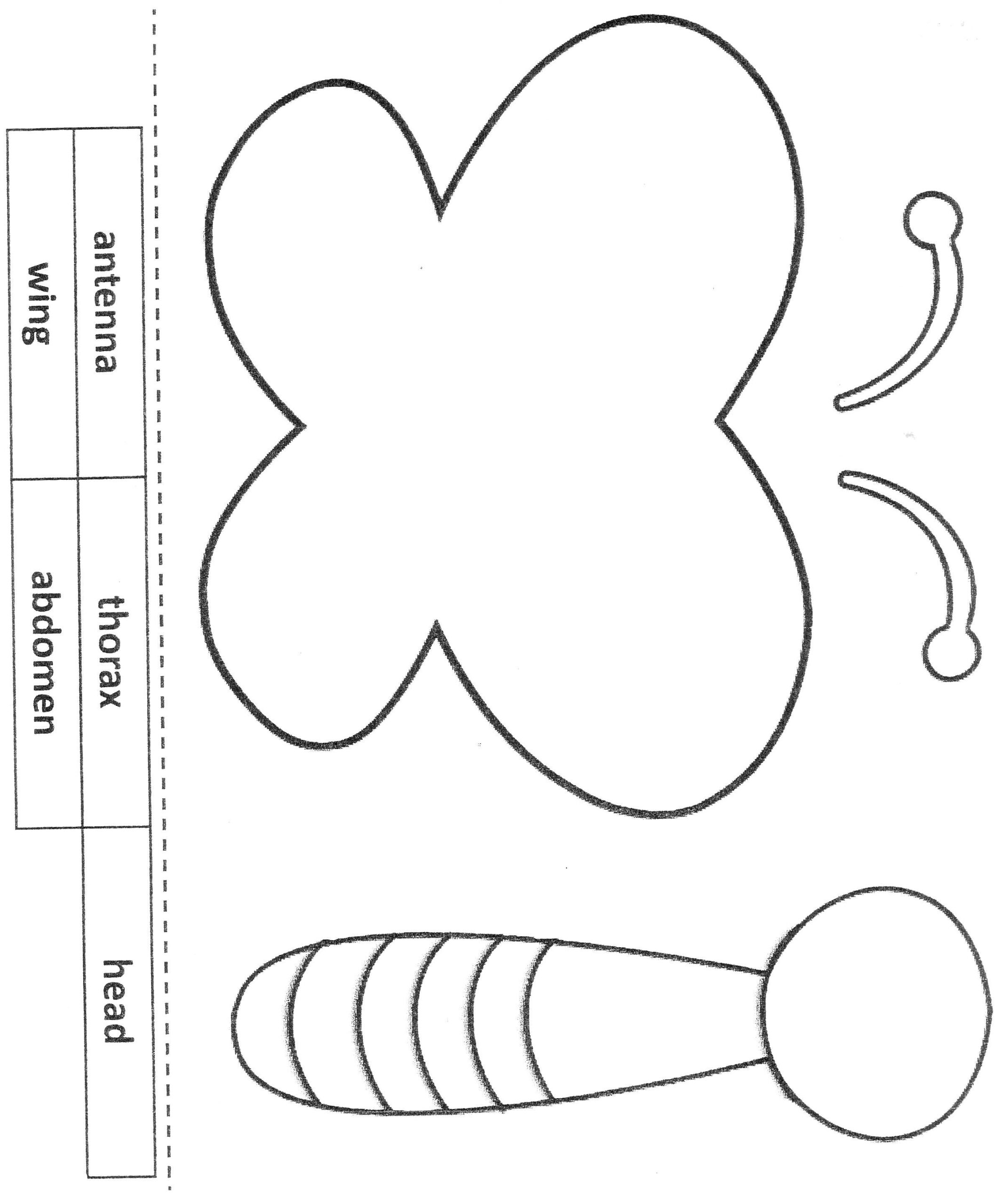 Butterfly Body Template