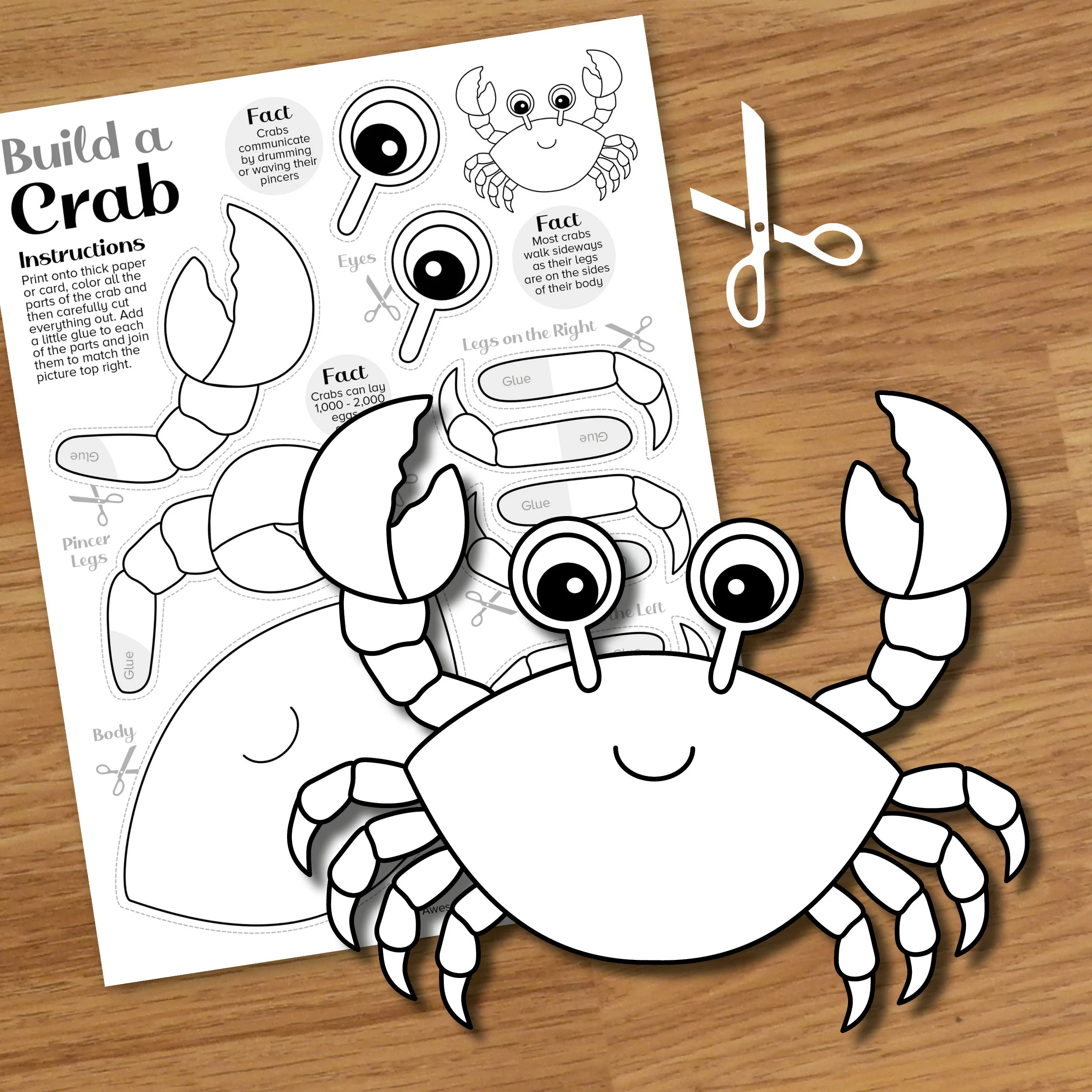 Crab Cut Paste Craft Printable Summer Beach Color And Build Art Kit Ocean Animals Crustacean Puppet Model Sea Creature Activity Art Kit Etsy Israel