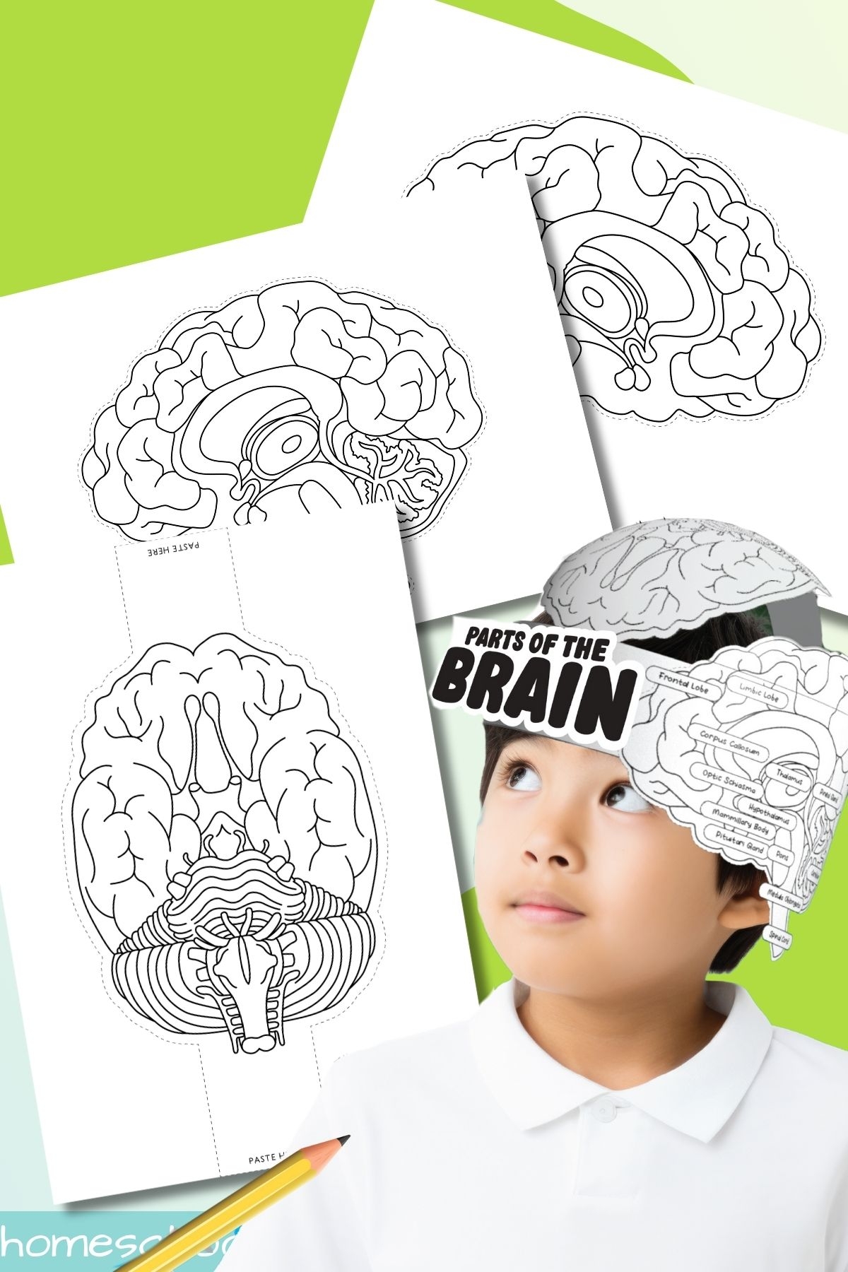 Paper Brain Hat Free Printable