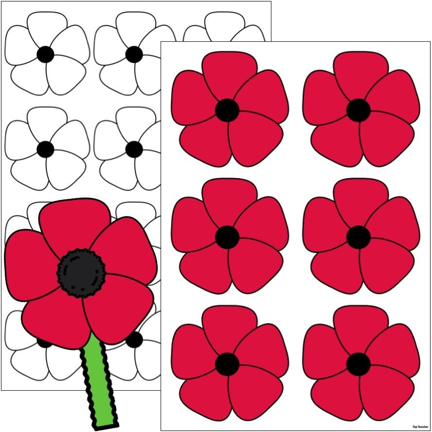 Poppy Templates Top Teacher